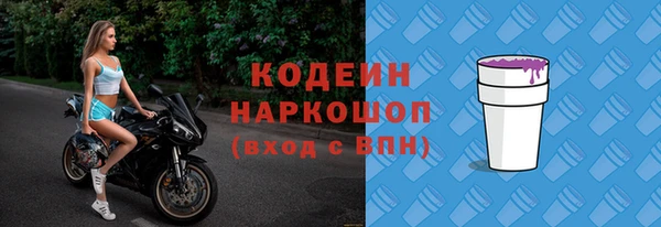 ГАЛЛЮЦИНОГЕННЫЕ ГРИБЫ Арсеньев
