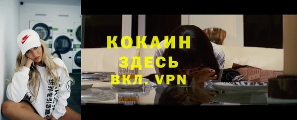 ГАЛЛЮЦИНОГЕННЫЕ ГРИБЫ Арсеньев